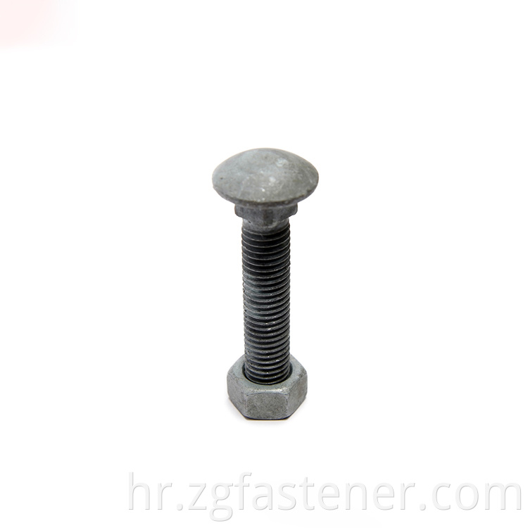 Carriage Bolt